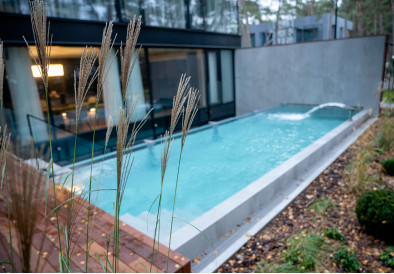 Proiect individual de saună, piscină exterioară, dispozitiv de turnare și jacuzzi