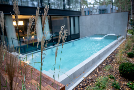 Proiect individual de saună, piscină exterioară, dispozitiv de turnare și jacuzzi - Alte proiecte