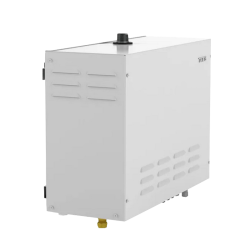 Generatoare de aburi TYLÖ