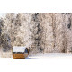 Casa sauna RT-300P