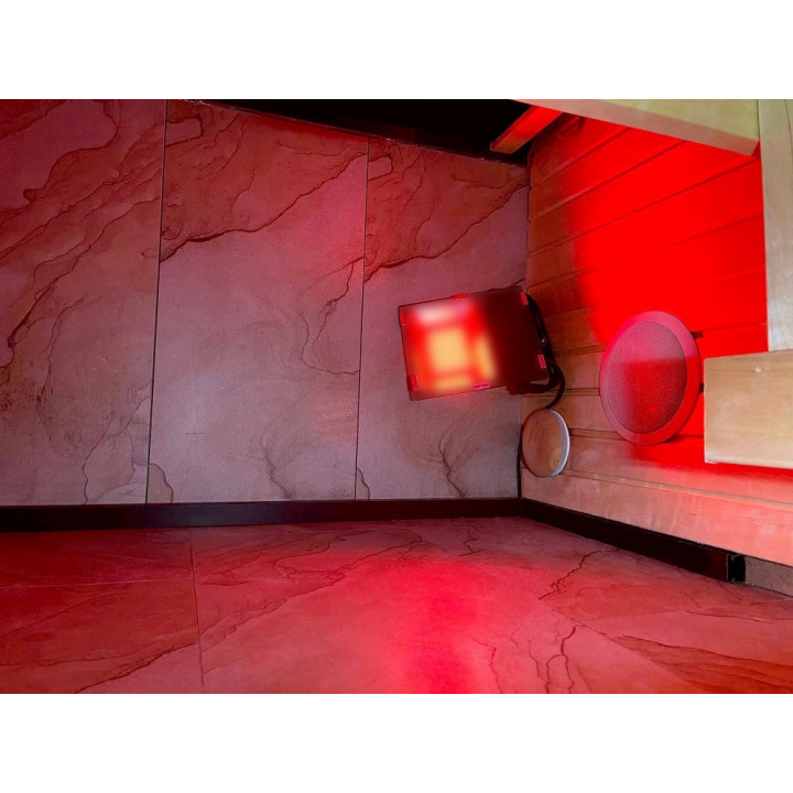 PROJECTOR LED SAUFLEX RGB, CU UNITATE DE CONTROL
