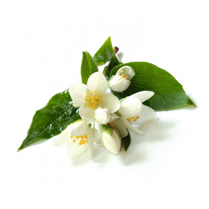 Concentrat de aromă de saună Sentiotec, floare de iasomie