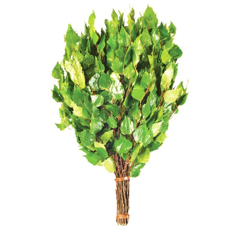 Tel de mesteacăn cu ierburi