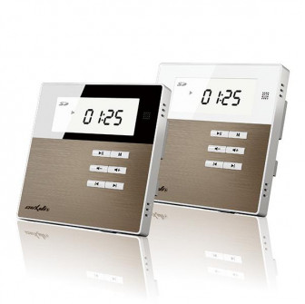 Smart Home on Wall Music Amplifier DSPPA DM835. alb