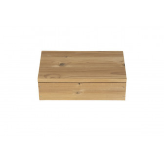Cutie de protecție Harvia pentru echipamente de sistem LED, termo-pin, SAC00401