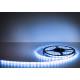 Set LED RGB MILK Sauflex 12 W, 5 m