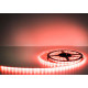 Set LED RGB MILK Sauflex 12 W, 5 m