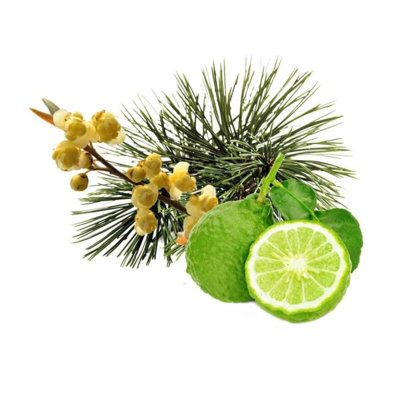 Concentrat de parfum pentru saună HARVIA, pin arolla, bergamotă și cubeba de litsea 1 l