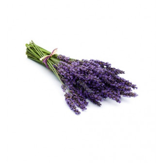 HARVIA concentrat parfum de saună, lavandă 1 l