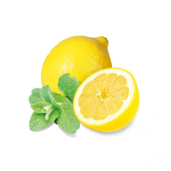 Concentrat de parfum de saună HARVIA, mentă și lămâie 1 l