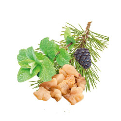 Concentrat de parfum pentru saună HARVIA, mentă, pin, tămâie și smirnă 1 l 