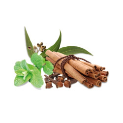 Concentrat de parfum de saună HARVIA, condimente și mentă 1 l 