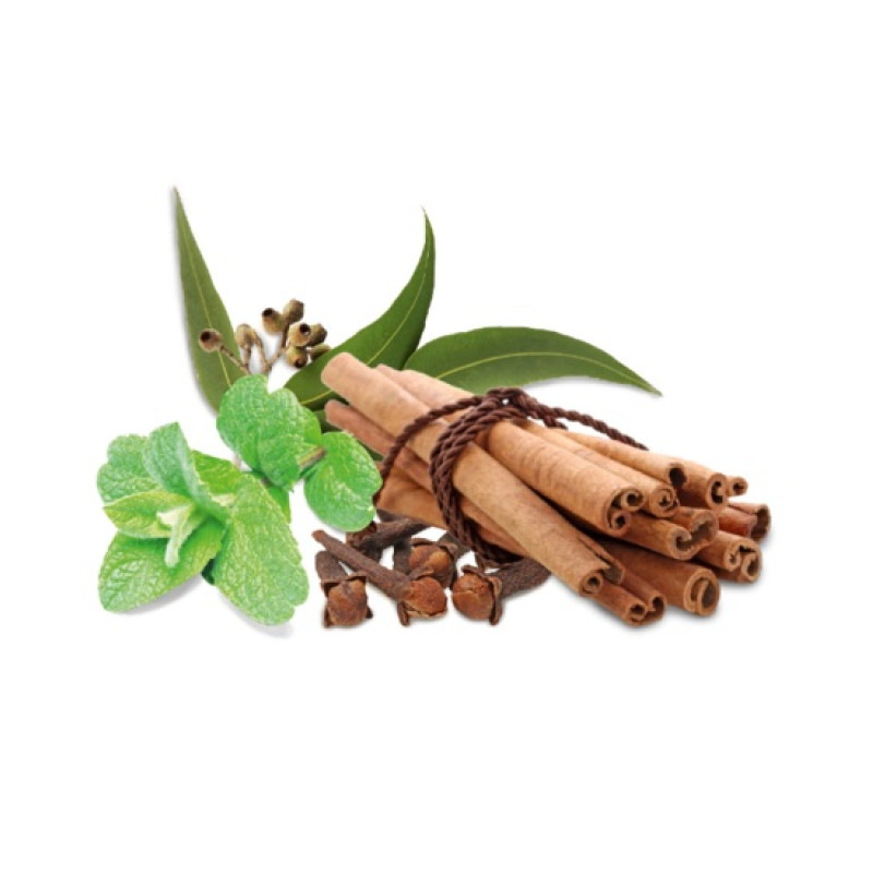 Concentrat de parfum de saună HARVIA, condimente și mentă 1 l