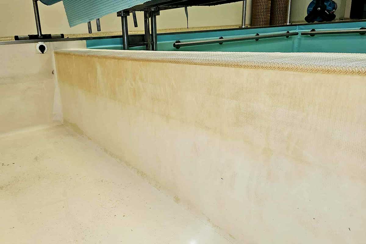 Murdărie și depuneri vizibile pe pereții exteriori ai piscinei dreptunghiulare