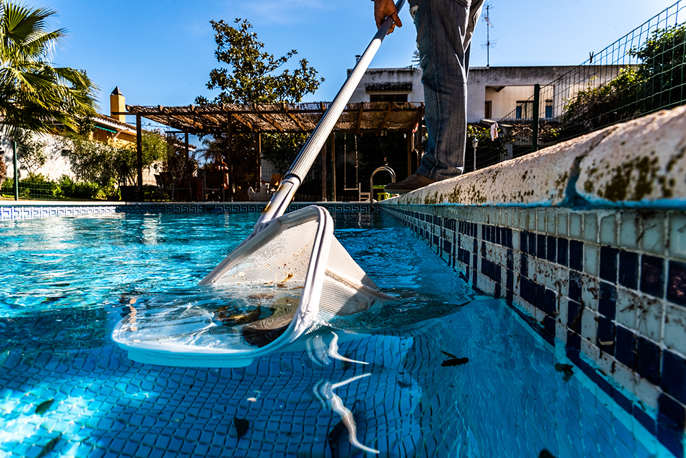 piscină murdară