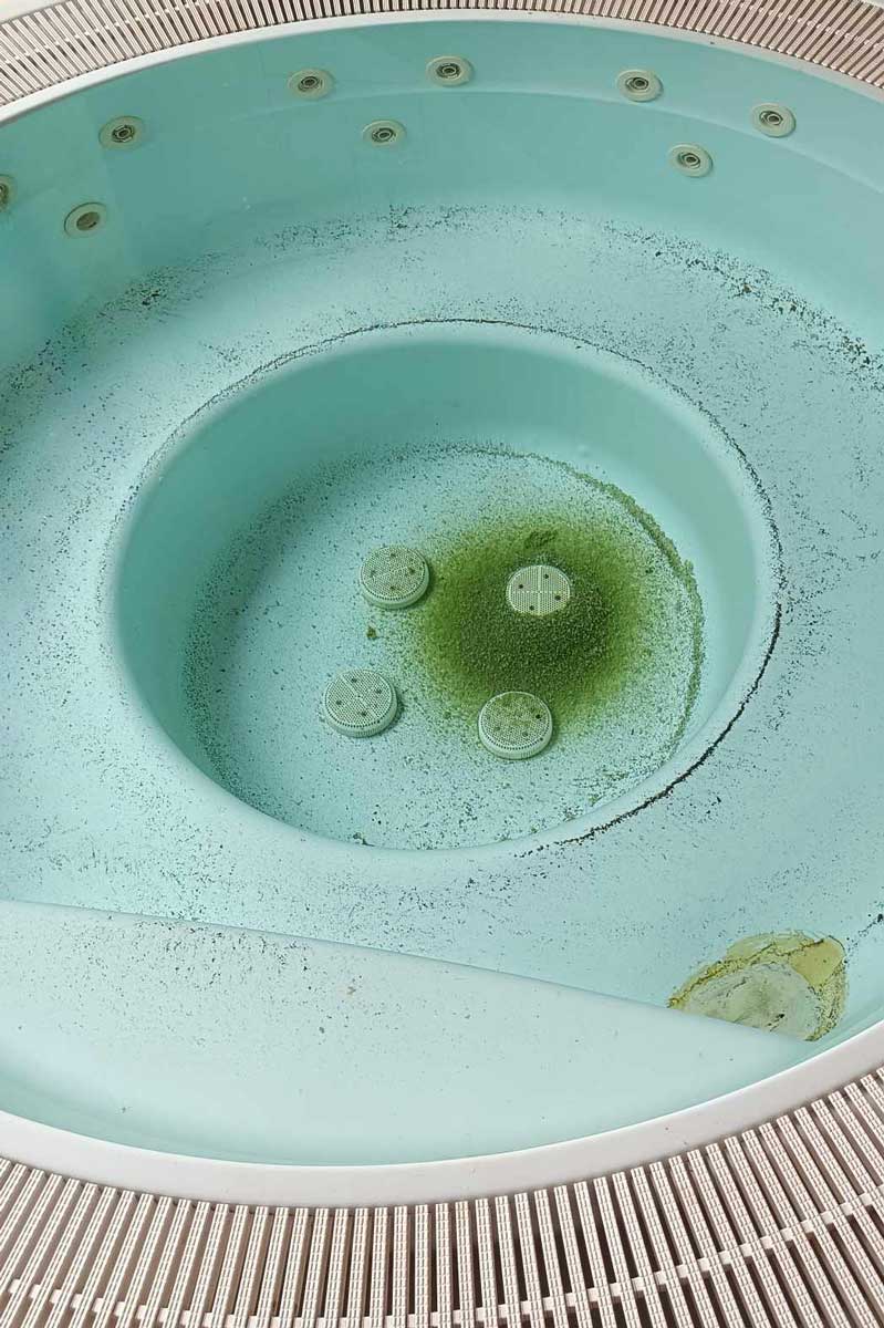Murdăria din piscină cauzată de neglijență, care este dificil de curățat, dar posibil