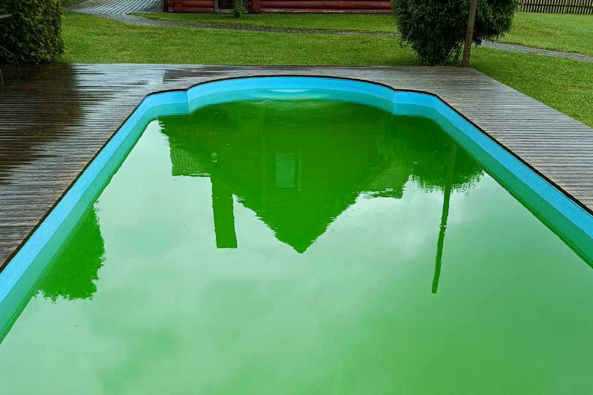 apa verde a piscinei ce trebuie făcut