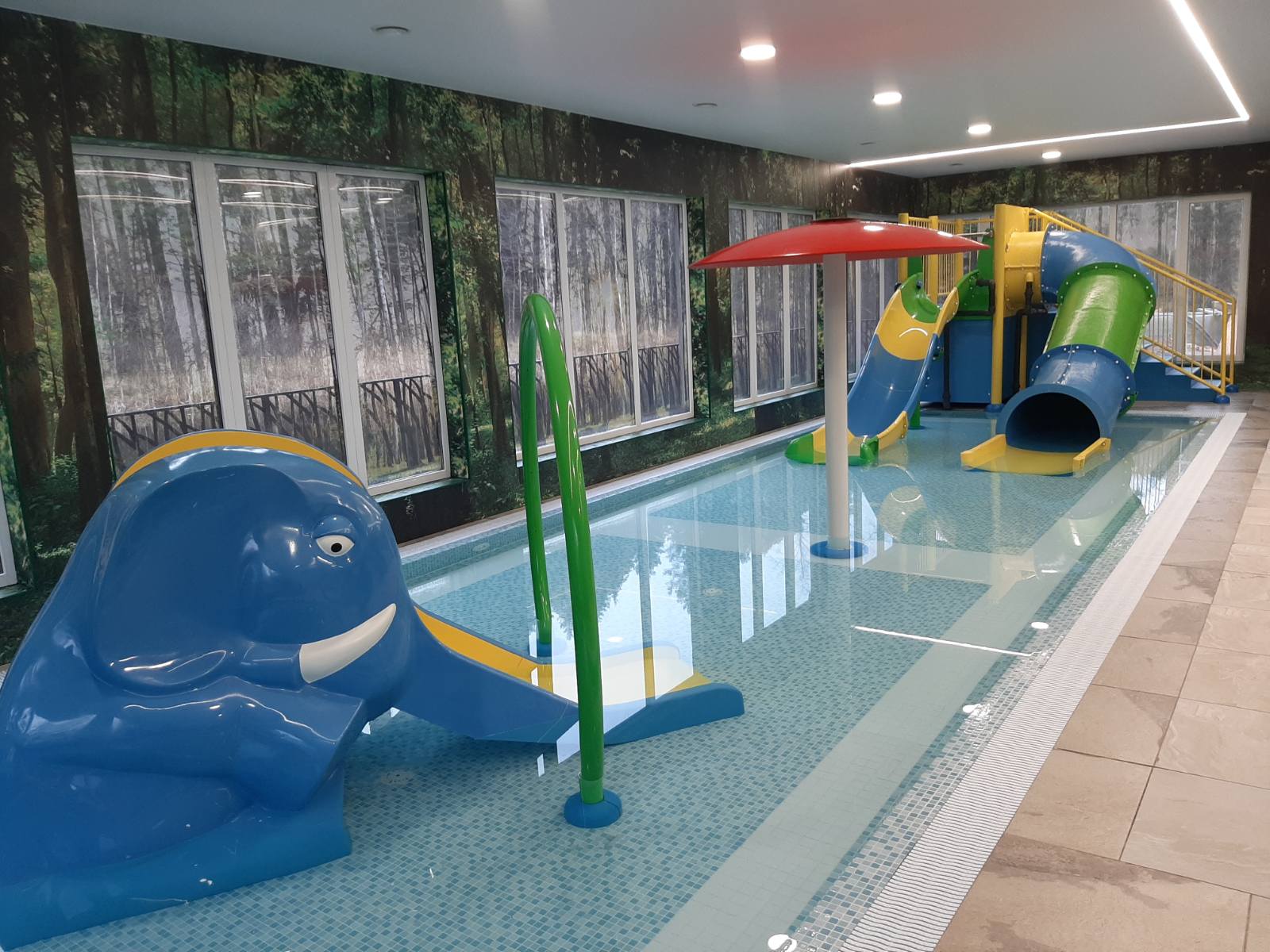 Piscine și saune din cartierul „Po ąžuolais”