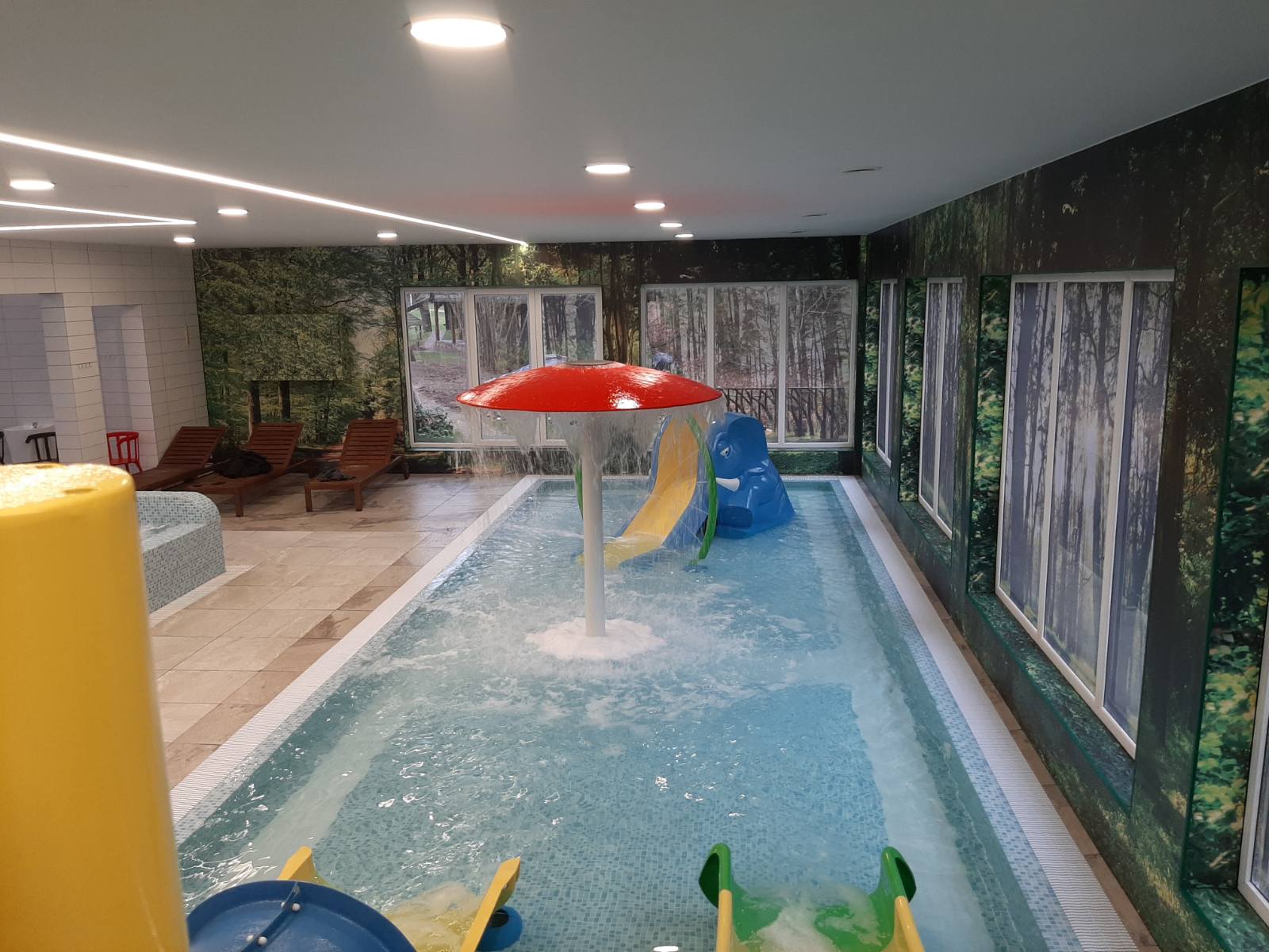 Piscine și saune din cartierul „Po ąžuolais”