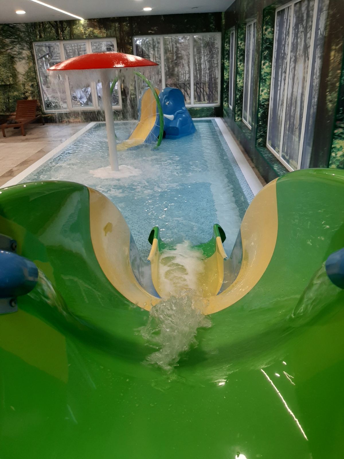 Piscine și saune din cartierul „Po ąžuolais”